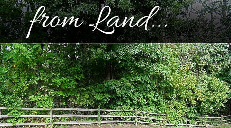 land